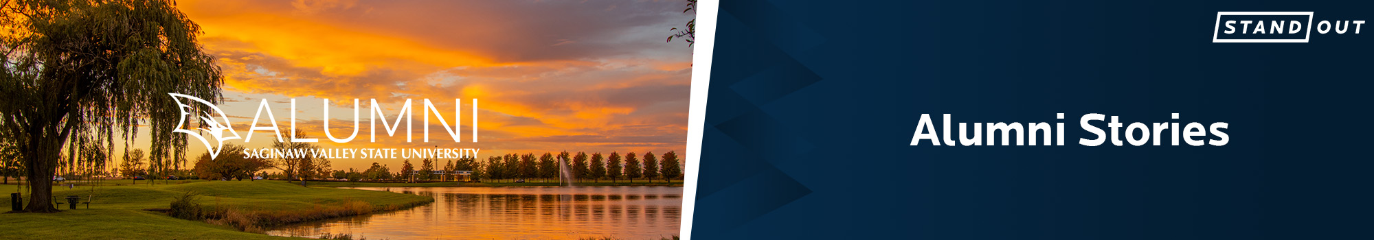 Alumni Stories banner-long